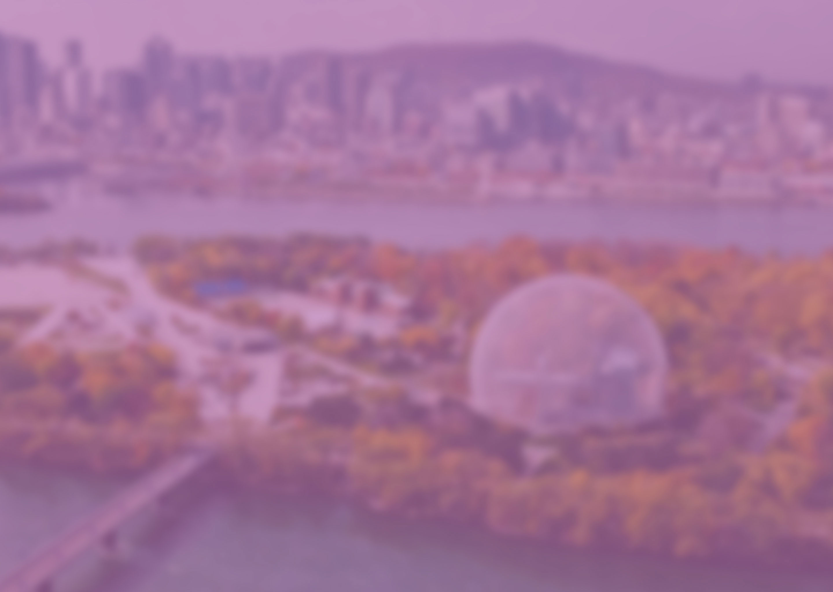 overhead view of city in the fall
