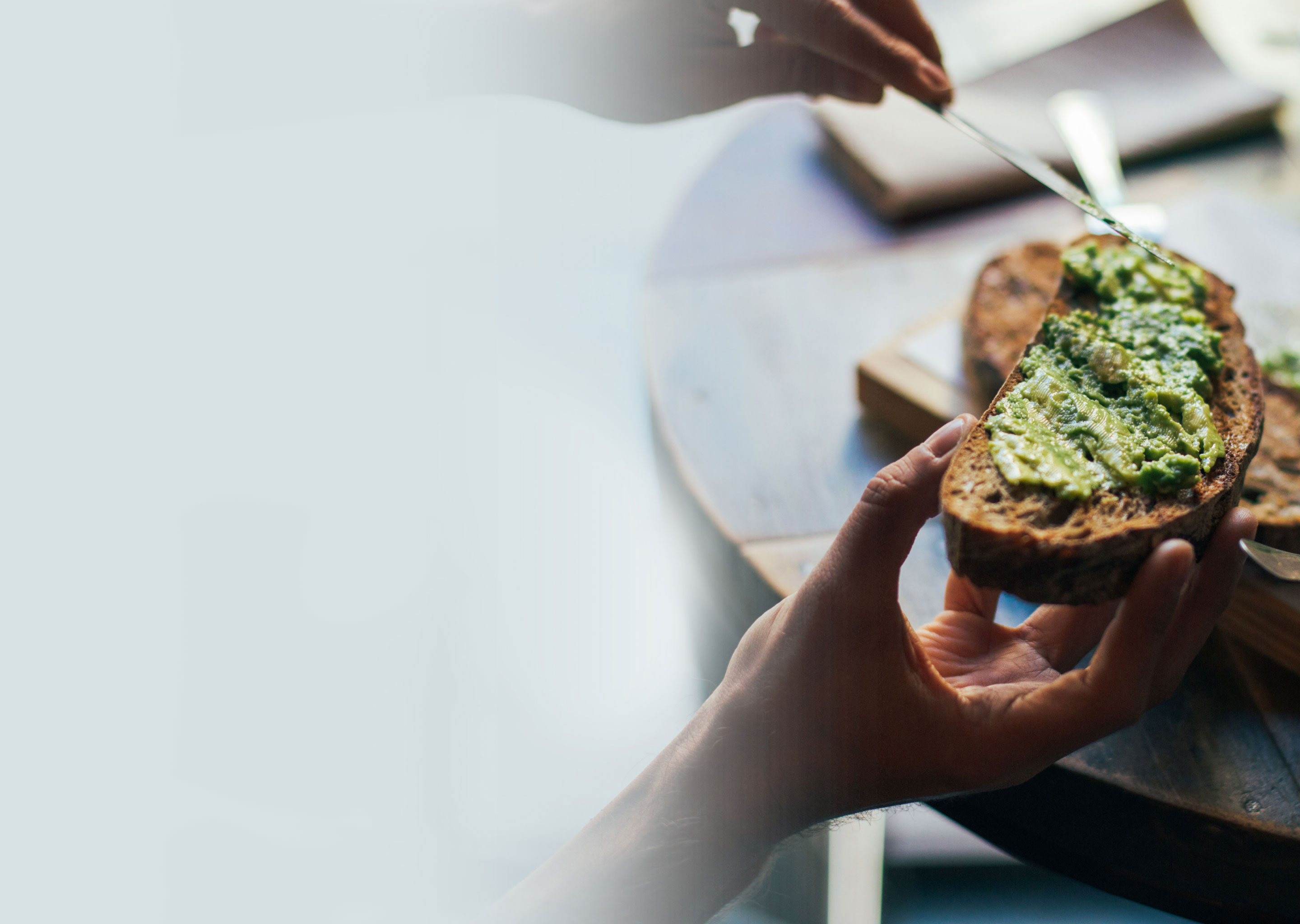 hand holding avocado toast